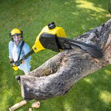 Best Pest Control for Lawns  in Hanapepe, HI